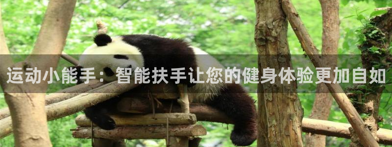 九游体育官网下载招商电话是多少：运动小能手：智能扶手