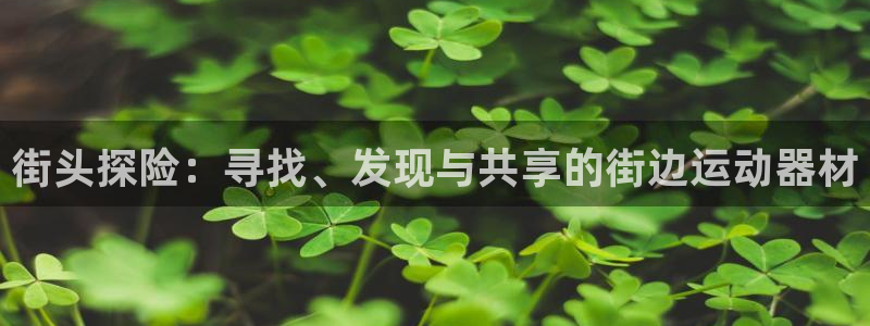 九游体育官网下载招商电话号码查询是多少：街头探险：寻