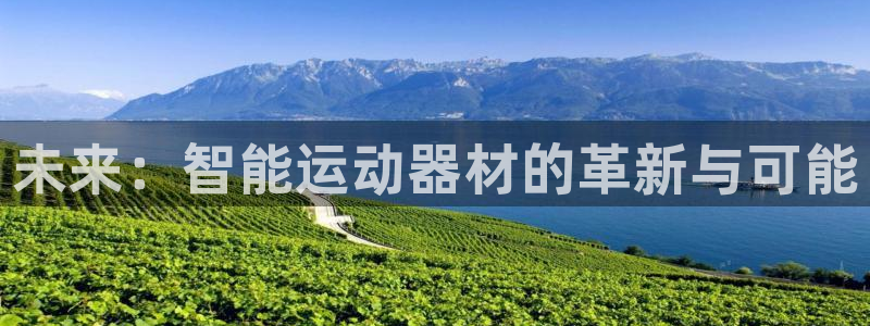 九游体育官方正版app科技：未来：智能运动器材的革新