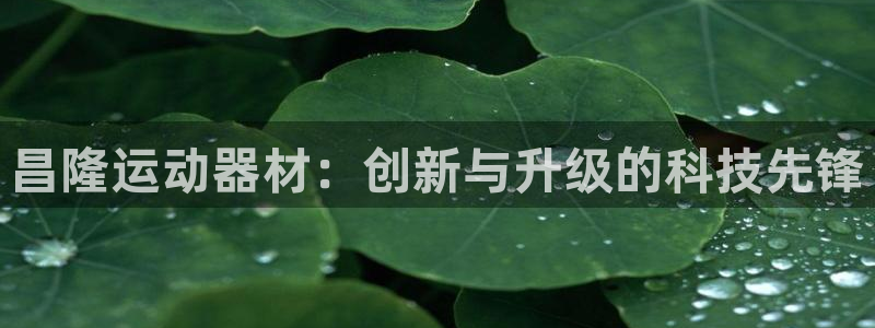 九游体育官网下载招商电话号码是多少啊：昌隆运动器材：创新与升