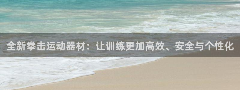 九游体育官方正版app五金厂：全新拳击运动器材：让训