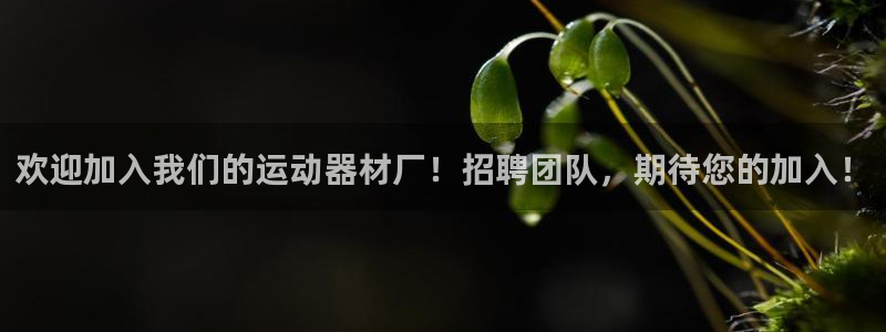 九游体育官网下载平台APP：欢迎加入我们的运动器材厂