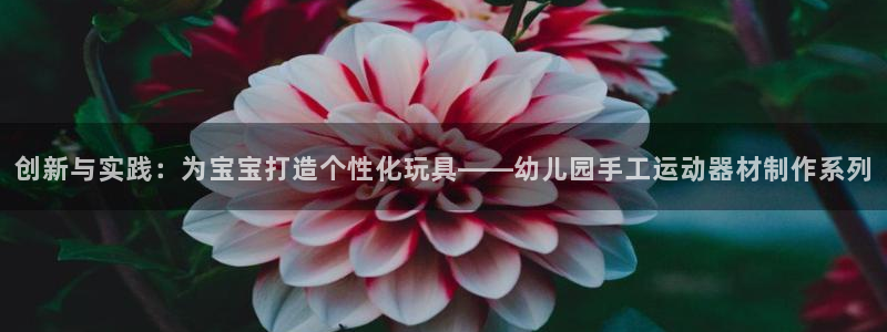 海南九游体育官网下载发展怎么样：创新与实践：为宝宝打造个性化