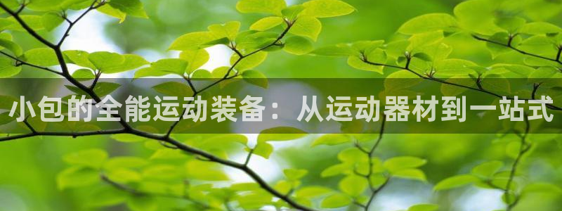 九游体育官网下载平台注册流程图：小包的全能运动装备：从运动器