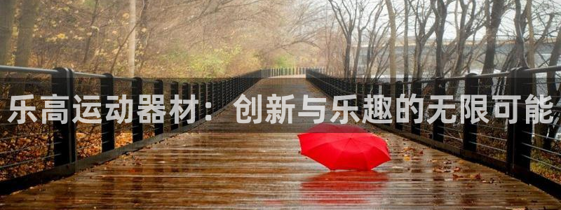 九游体育官方正版app娱乐40996：乐高运动器材：