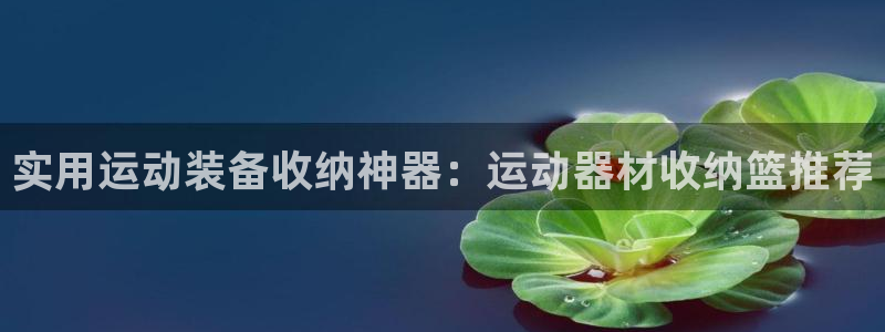 九游体育官方正版app集团logo：实用运动装备收纳