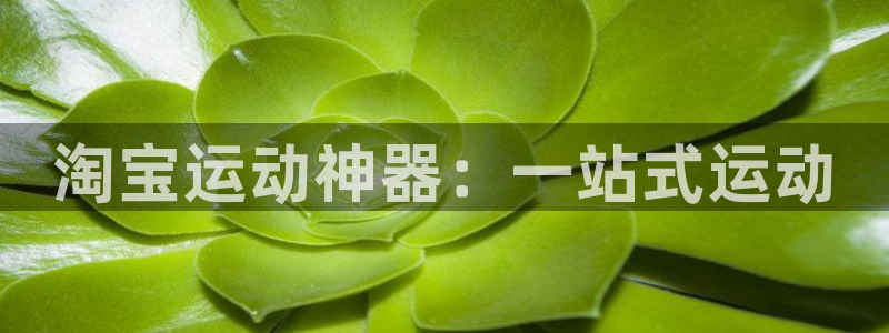 九游体育官网下载注册：淘宝运动神器：一站式运动