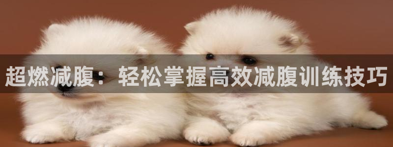 九游体育官网下载是干嘛的公司：超燃减腹：轻松掌握高效减腹训练