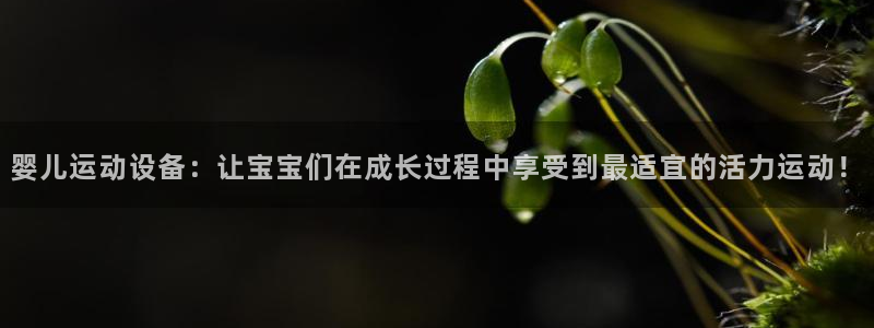 九游体育官方正版app集团：婴儿运动设备：让宝宝们在成长过程