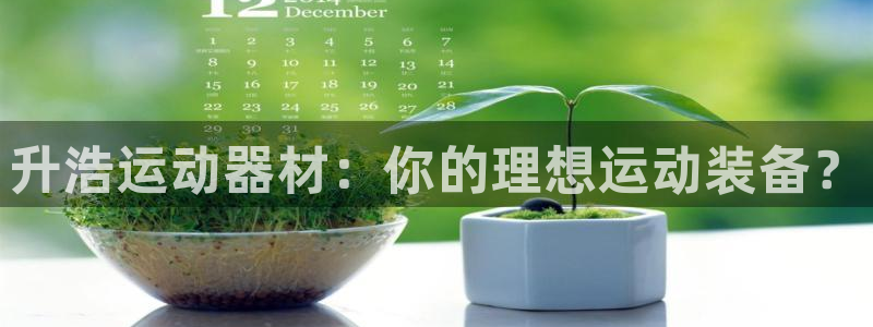 九游体育官方正版app娱乐40996：升浩运动器材：