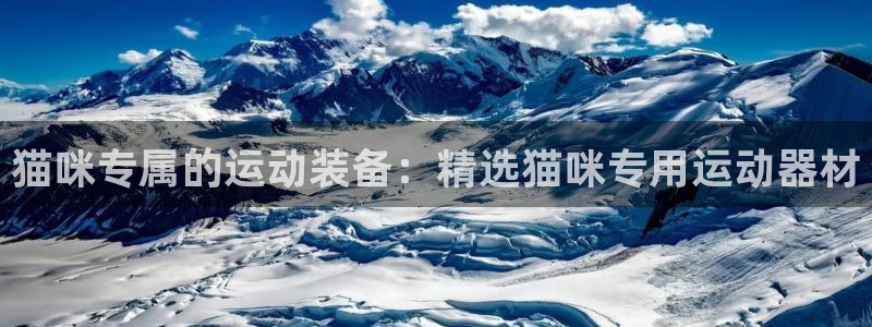 九游体育官网下载招商电话号码是多少：猫咪专属的运动装