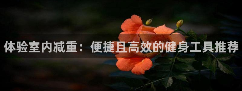 九游体育官方正版app集团logo：体验室内减重：便捷且高效