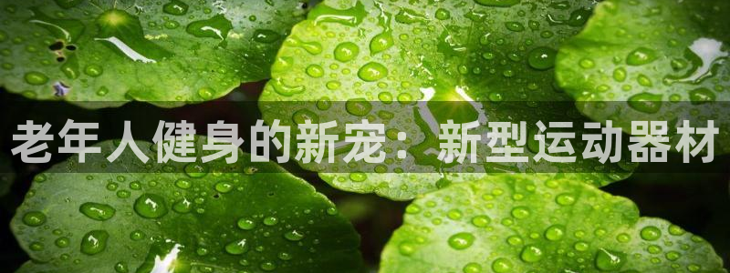 九游体育官方正版app集团：老年人健身的新宠：新型运