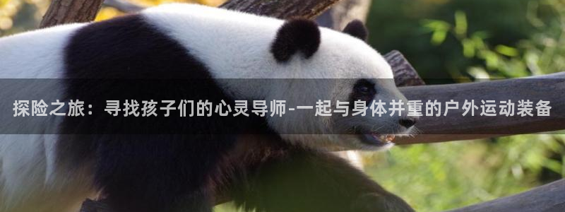 九游体育官网下载招商电话号码查询是多少