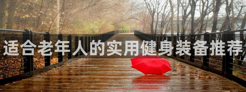 九游体育官方正版app娱乐首页网站大全：适合老年人的实用健身