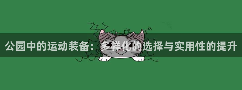 注册九游体育官方正版app：公园中的运动装备：多样化的选择与