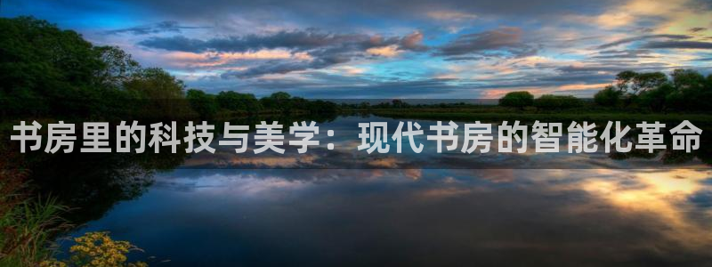 九游体育官方正版app集团：书房里的科技与美学：现代书房的智